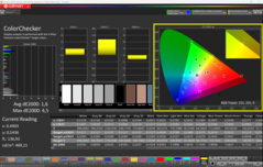 CalMAN KleurenChecker (P3)