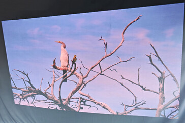 Projectiescherm buiten (daglicht) (Afbeelding bron: Daniel Schmidt)