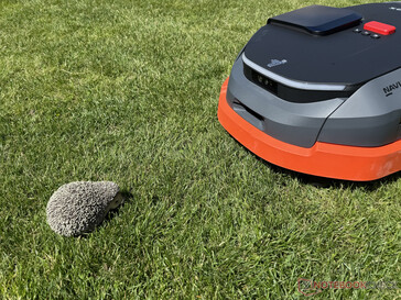 De Navimow X3 heeft met succes de egelpop gedetecteerd