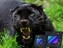 Panther Lake zou in 2025 gelanceerd kunnen worden met snelle Xe3 iGPU&#039;s. (Beeldbron: iStock + Intel)