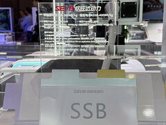 De Sunwoda solid-state batterij. (Afbeeldingsbron: CNEVPost)