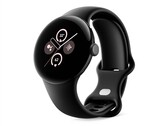 De Pixel Watch 2 werd alleen uitgebracht in 41 mm, dus een grotere versie van 44 mm zal zeer welkom zijn (Afbeelding bron: Google)