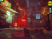 Stray is een sfeervol verhalend avonturenspel over een katje dat zijn weg naar huis probeert te vinden. (Beeldbron: Steam)