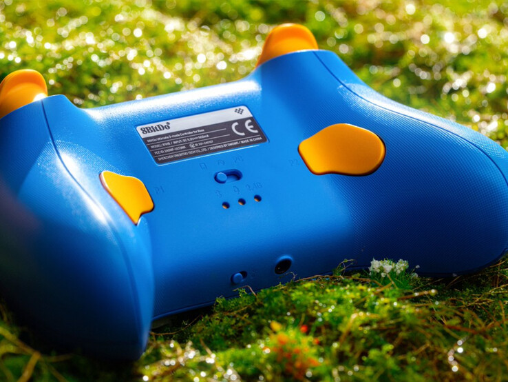 (Afbeeldingsbron: 8BitDo)
