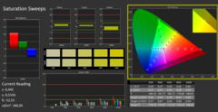 Calman ColorChecker: DCI-P3 - verzadiging - gekalibreerd