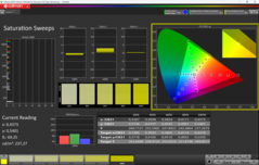 CalMAN verzadigingsvegen