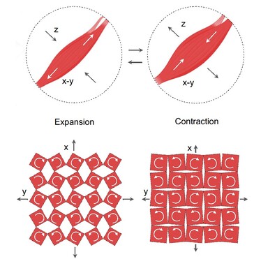 De spraakpleister heeft spleten in het magnetische membraan. Het buigen tijdens het spreken creëert een elektrisch signaal door de beweging van de ingesloten magnetische deeltjes. (Bron: Artikel van Ziyuan Che et al.)