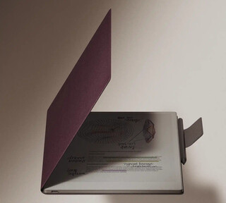 Opmerkelijke Paper Pro met folio