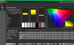 ColorChecker vóór kalibratie (P3)