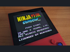 Een geplaagd beeld van Ninja Gaiden Shadow DX op X (bron: Marc Max)