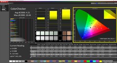 CalMAN ColorChecker (profiel: Display P3)