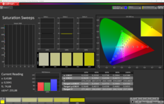 CalMAN Verzadiging gekalibreerd