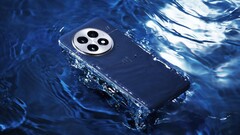 De OnePlus 13. (Afbeelding bron: OnePlus)