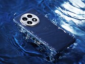 De OnePlus 13. (Afbeelding bron: OnePlus)