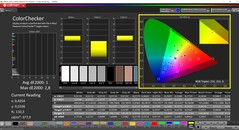 CalMAN ColorChecker (profiel: Display P3, doelkleurruimte: P3)