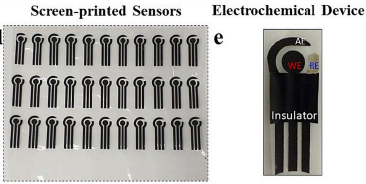 De plantenslijtbare sensor is gemaakt van biologisch afbreekbaar celluloseacetaat (afkomstig van houtpulp) en koolstof. (Bron: Artikel van S.C. Teixeira et al. in Biomaterials Advances)