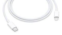 Deze kabel kan binnenkort tot het verleden gaan behoren. (Bron: Apple)