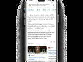 Google Bard kan informatie destilleren om zinvolle inzichten te bieden bij conversational search. (Beeldbron: Google)