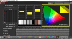 CalMAN ColorChecker (profiel: gekalibreerd, doelkleurruimte: P3)