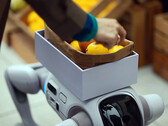 De T1-humanoïde robot die in een robothond kan veranderen