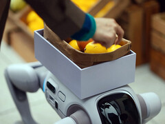 De T1-humanoïde robot die in een robothond kan veranderen