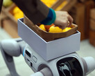 De T1-humanoïde robot die in een robothond kan veranderen