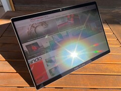 In de zon (met reflectie)