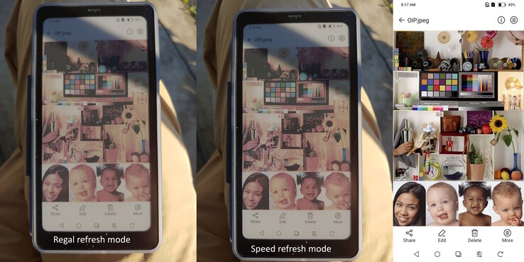 Modi Regal vs Speed in direct ochtendzonlicht.