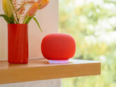 De Google Home Speaker in Berry. (Afbeeldingsbron: Google)