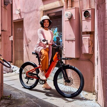 De Momentum Vida E+ e-bike kan een maximaal laadvermogen aan van 136 kg (Afbeelding bron: Momentum)
