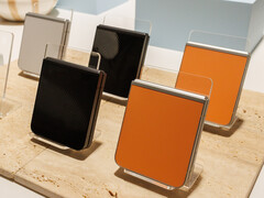 Galaxy De Z Flip FE wordt niet gelanceerd met een Snapdragon SoC zoals de Galaxy Z Flip 6 die hier is afgebeeld (bron: Notebookcheck)