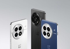 De OnePlus 13 vlaggenschip smartphone heeft een 6,82 inch beeldscherm. (Afbeeldingsbron: OnePlus)