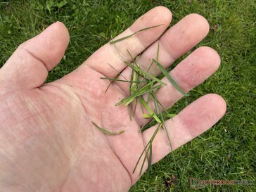 ...dan we hadden verwacht van de geadverteerde mulchfunctie.