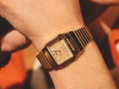 Casio&#039;s Vintage AQ800EG-9A horloge (afbeelding) is nu verkrijgbaar in de VS. (Afbeeldingsbron: Casio)