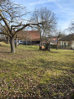 Hoofdcamera (geen zoom)