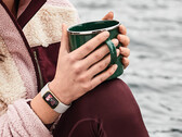 Fitbit heeft nieuwe wijzerplaten uitgerold naar de Charge 5 en Luxe, voorheen afgebeeld. (Afbeelding bron: Fitbit)
