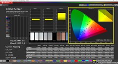 CalMAN ColorChecker (profiel: Standaard, doelkleurruimte: P3)