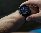 De Garmin Forerunner 255 smartwatch ontvangt beta 15.18. (Afbeelding bron: Garmin)