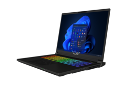 Tulpar S8 V1.1 18" gaming-laptop