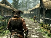 Afbeelding uit het spel The Elder Scrolls V: Skyrim. (Afbeeldingsbron: Steam)