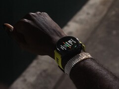 Garmin heeft bètaversie 19.13 voor Forerunner smartwatches uitgerold. (Afbeeldingsbron: Garmin)