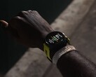 Garmin heeft bètaversie 19.13 voor Forerunner smartwatches uitgerold. (Afbeeldingsbron: Garmin)