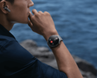 Huawei heeft softwareversie 4.0.0.219 uitgebracht voor de Watch 4 Pro. (Afbeeldingsbron: Huawei)