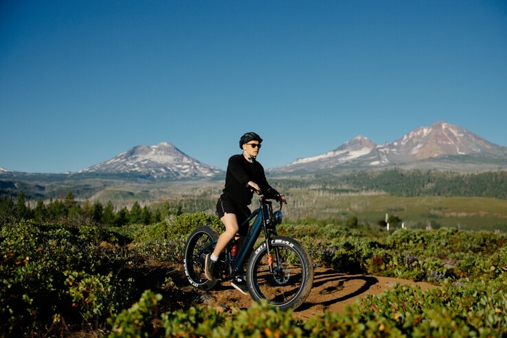 De Kingbull Rover 2.0 e-bike kan ladingen aan tot 181,4 kg (Afbeelding bron: Kingbull)