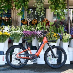 De Momentum Vida E+ e-bike biedt een totale actieradius van 88,5 km per keer opladen (Afbeelding bron: Momentum)