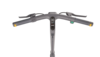 (Afbeeldingsbron: Reiger)