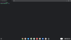 Linux-omgeving onder Chrome OS