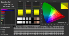 CalMAN: ColorChecker (gekalibreerd)