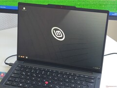 De Lenovo ThinkPad T14 Gen 7, met Linux Mint.