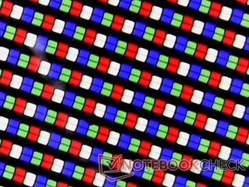 RGBW subpixel array. De speciale witte pixel zou de resolutie en contrastverhouding negatief beïnvloeden